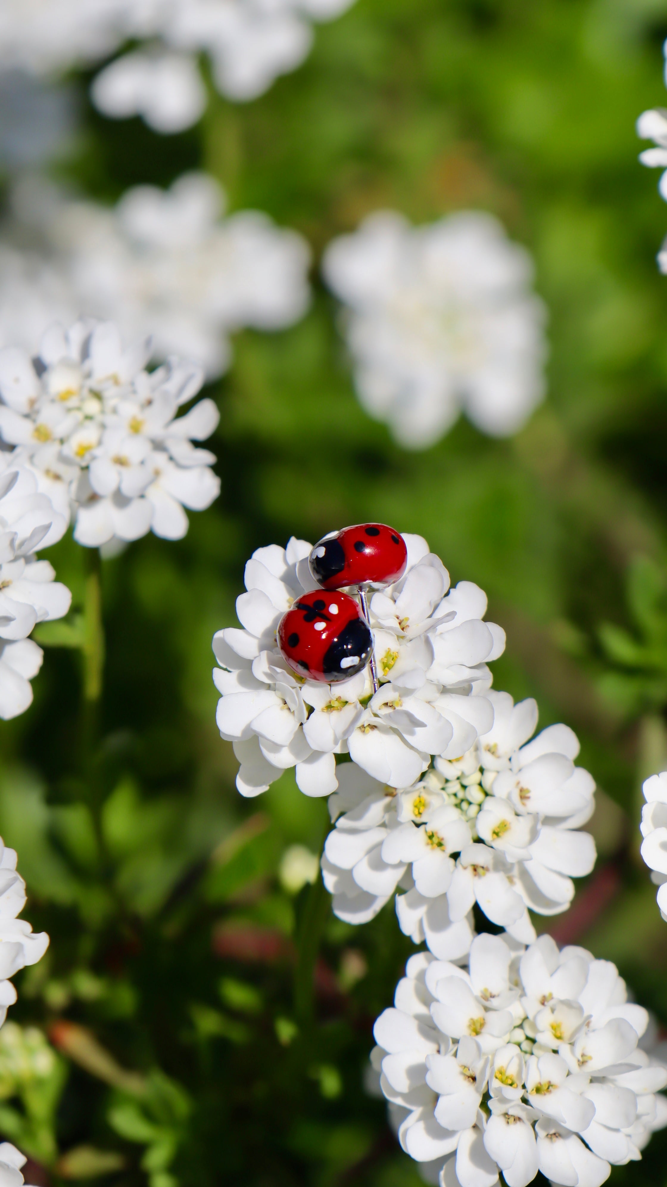 Frühling