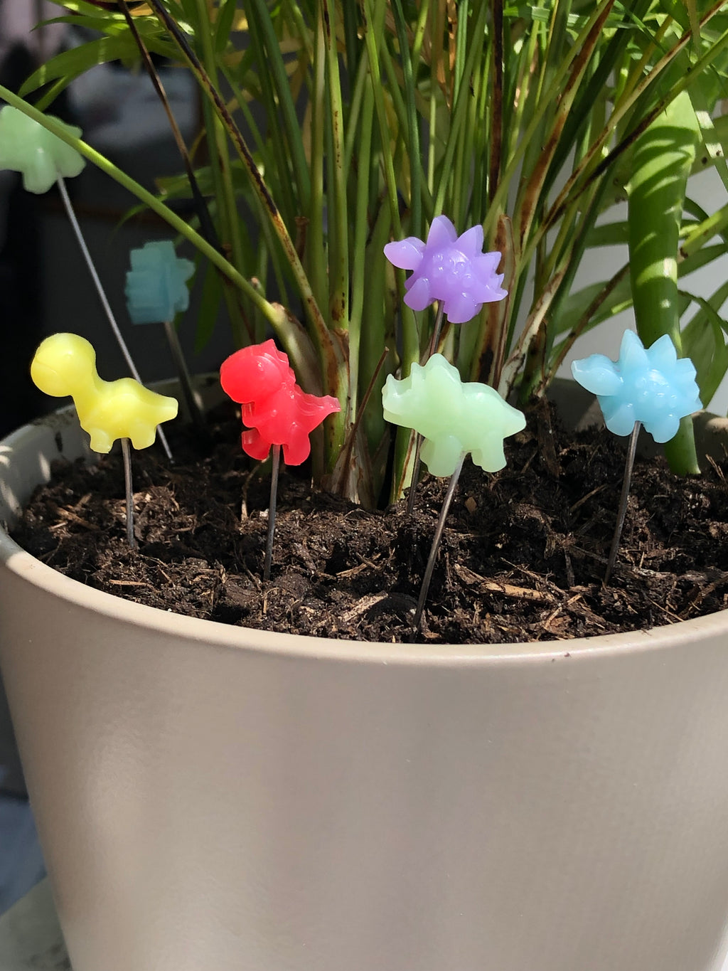 Pflanzenstecker Dinos