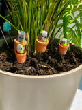 Pflanzenstecker Stein