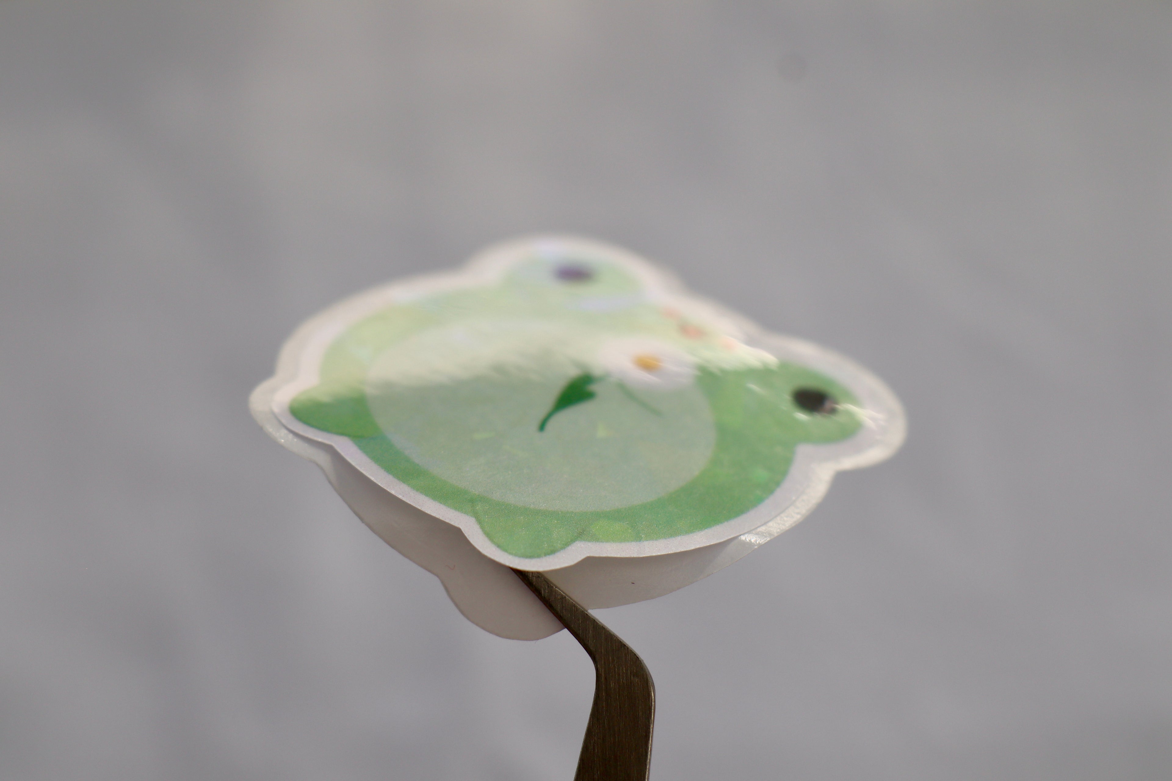 Frosch Sticker