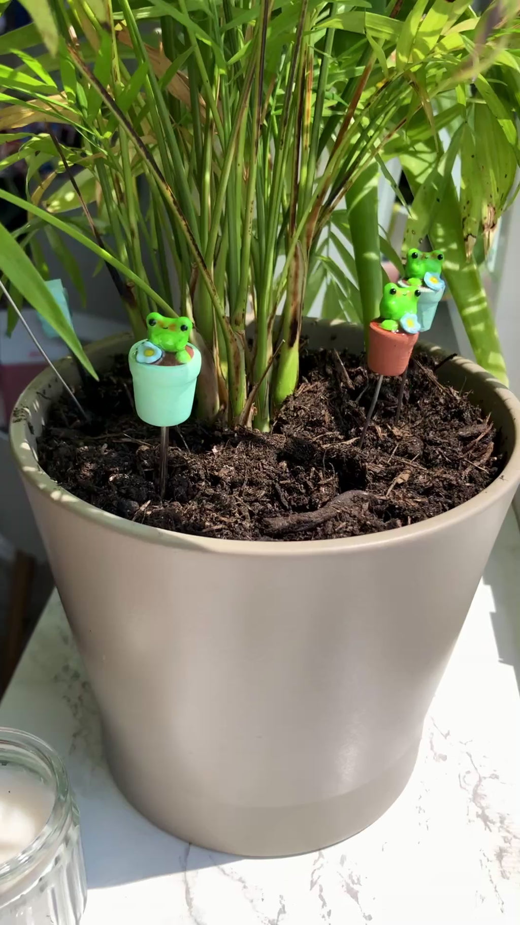 Pflanzenstecker Frosch
