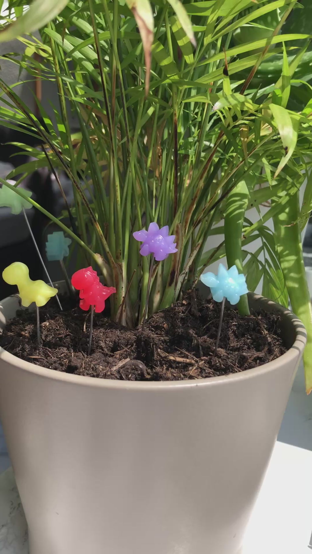Pflanzenstecker Dinos