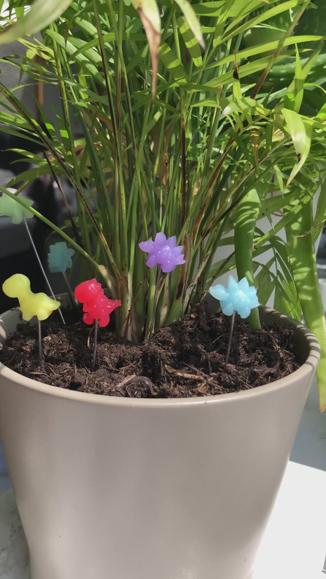 Pflanzenstecker Dinos