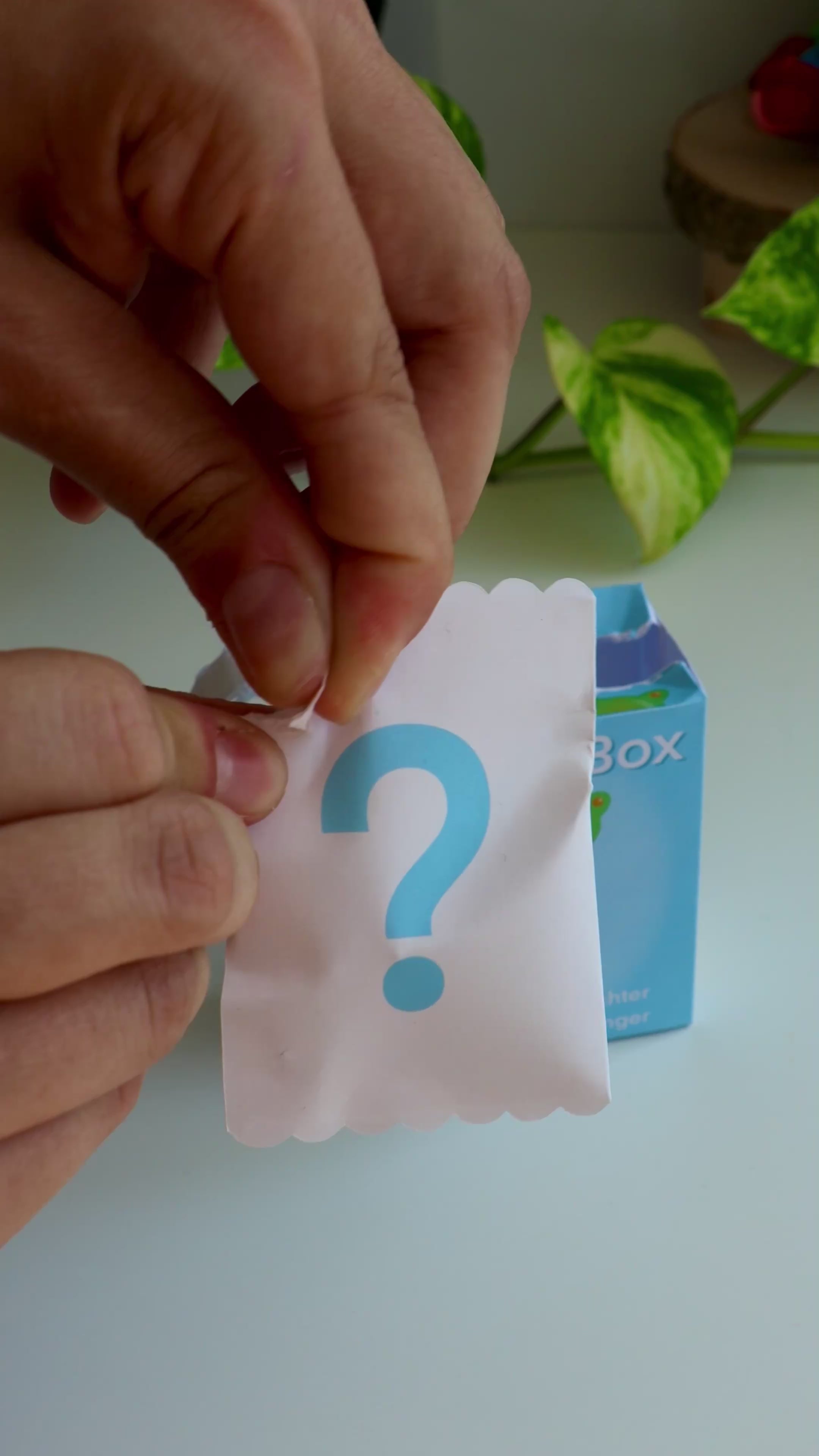 Blind Box Dango